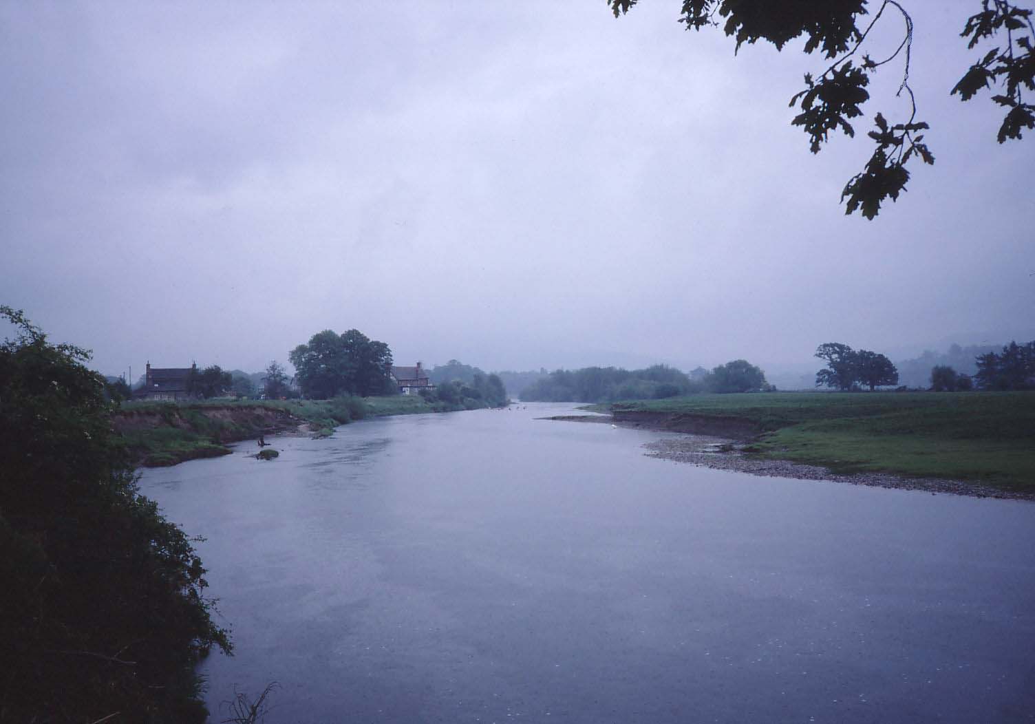 River Wye near Whitney a.jpg