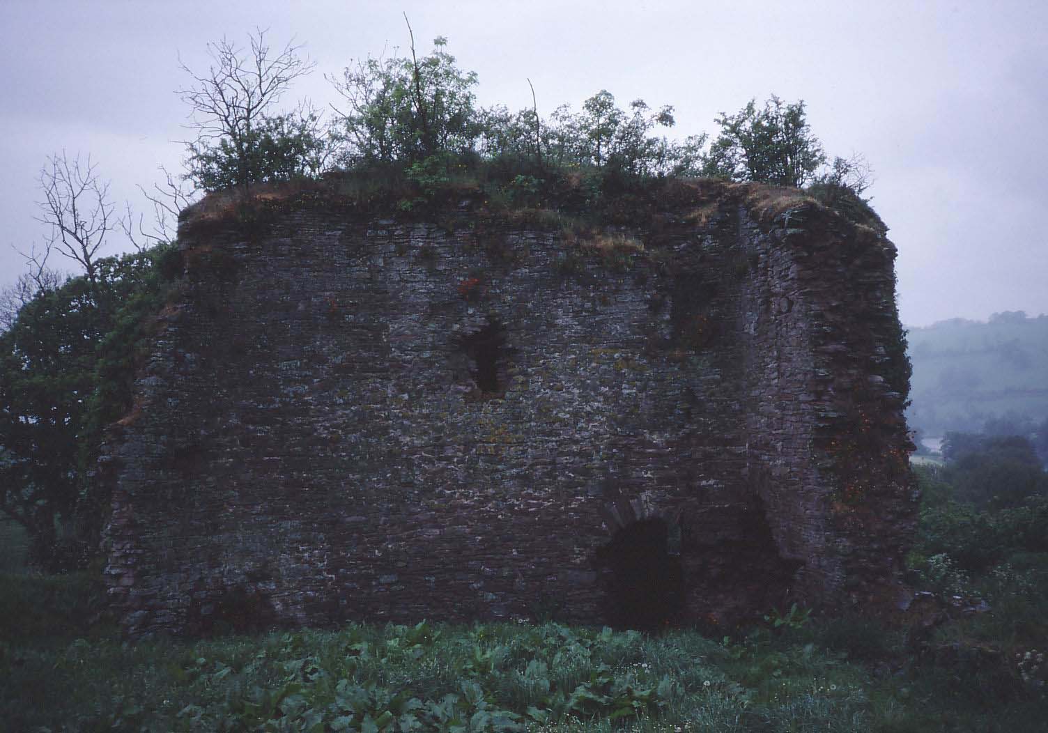 Clifford Castle 5 a.jpg