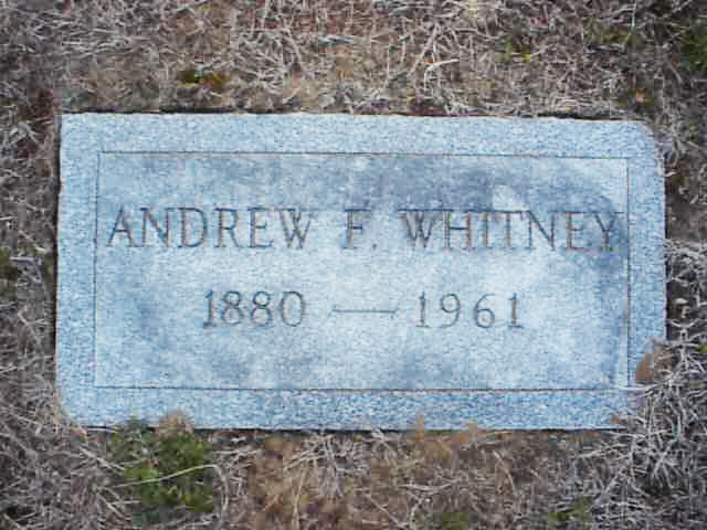 AndrewF1961.jpg
