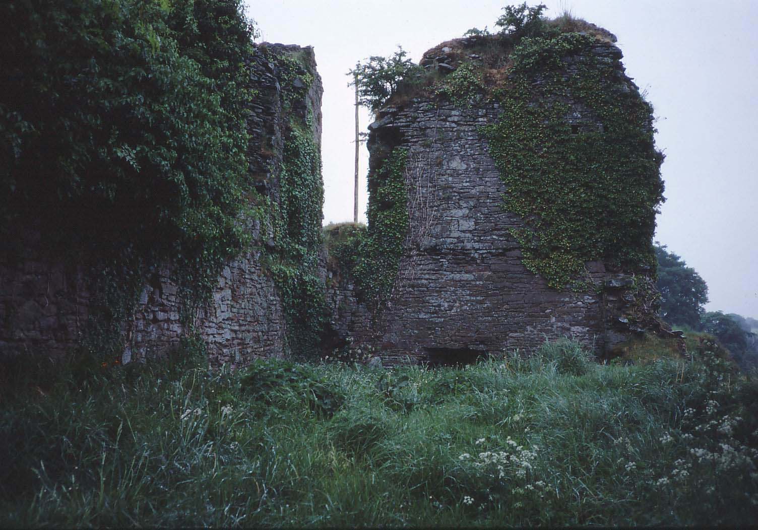 Clifford Castle 3 a.jpg