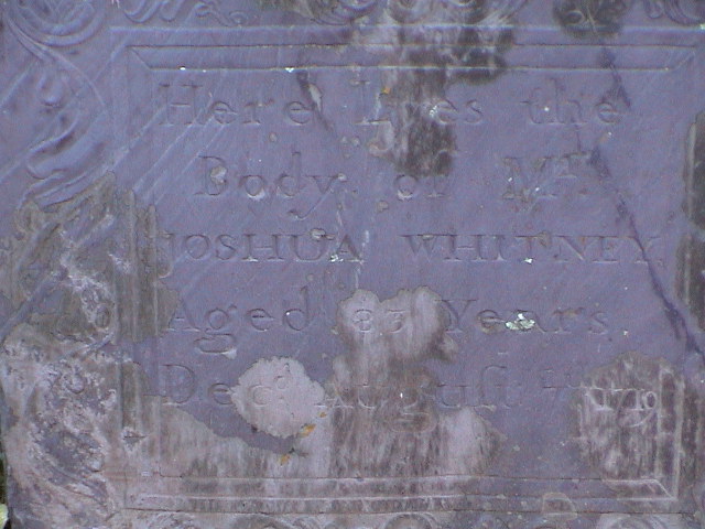 WRG Photo 79.jpg