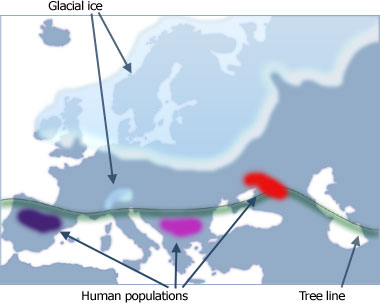 Europe haplogroups 1.jpg
