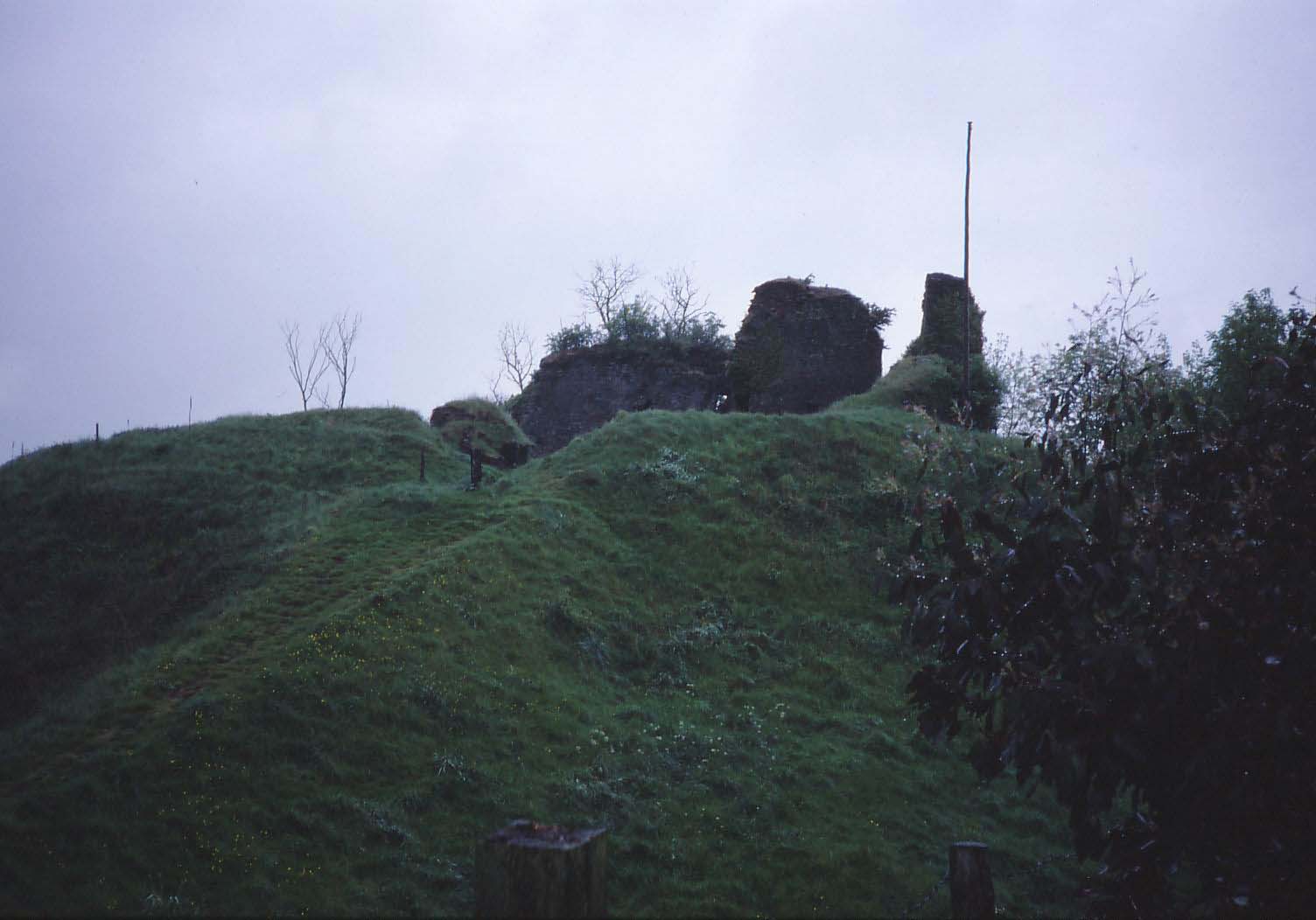 Clifford Castle 2 a.jpg